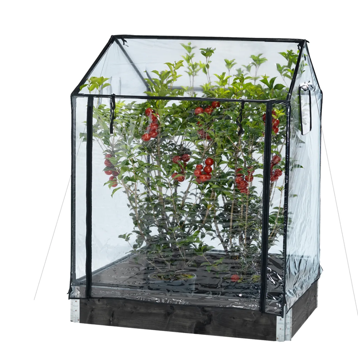 Transparent Plast, Passar till Odlingskrage - 80x120cm, Höjd 110/130 cm