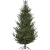Uppsala 210 cm Up-swept