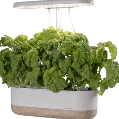 Urban Growing