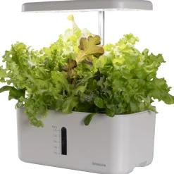 Urban Growing P8