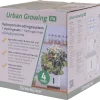 Urban Growing P4