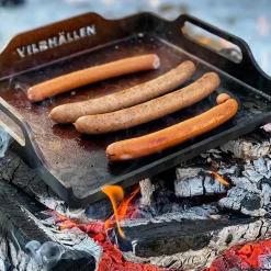 Vildhällen