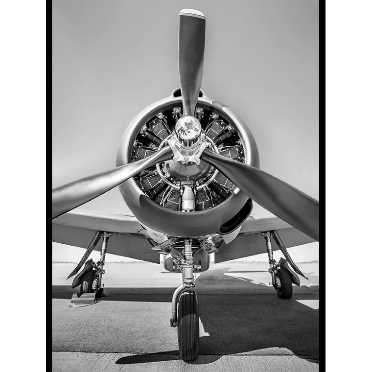 Vintage Propeller Aircraft B&W