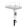2200W Digital Shining 220 Ionic