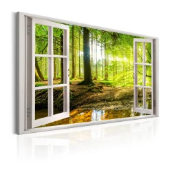 Window View On Forest