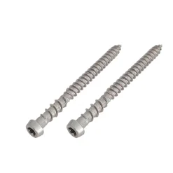 Woodlon 4,8 x 63 mm Självborrande 50 st