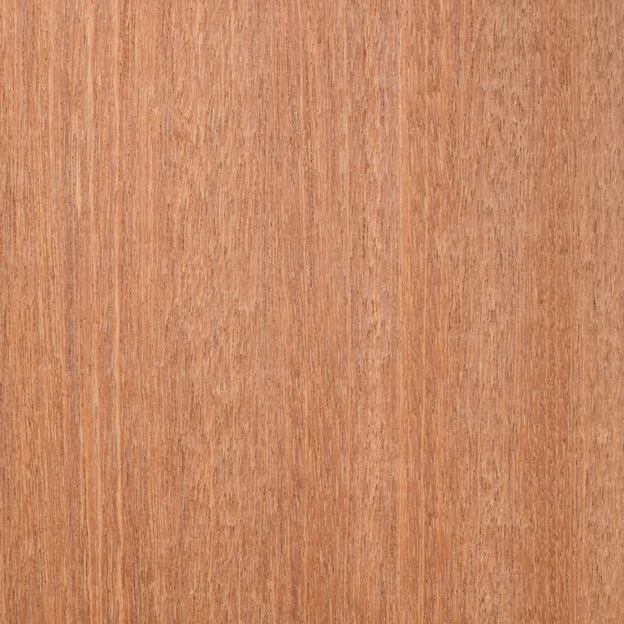 21x145 mm